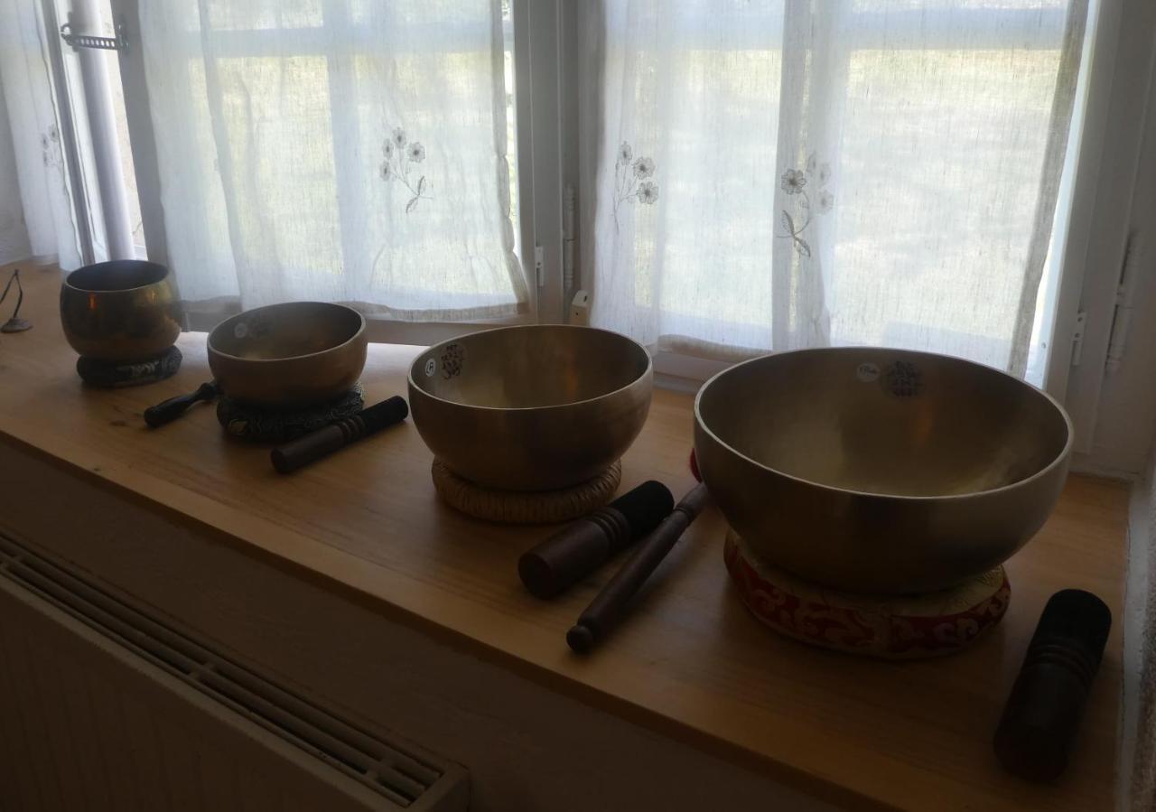 Les Chambres Du Ladoux Sencenac-Puy-de-Fourches Eksteriør billede